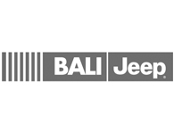 Bali Jeep